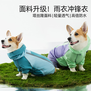 �羳���ļ����_�»�����ײɫ���s��С��Ȯ��ˮ�_�h���ﹷ���·�