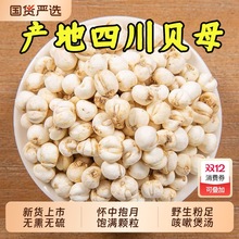 Ұɽ�Ĵ�ؐĸ500g�˴�ؐĸ������ؐ�w����ؐ����؛��؛