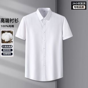 �ߙnDP������C�����п�2026�ļ����伃ɫ͸�����m�I�b�̄��r��