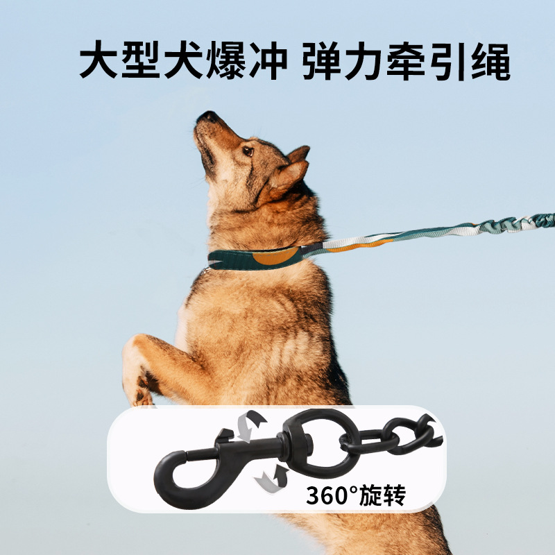 Cuerda P a prueba de explosiones y anti-mordedura Cadena telescópica para perros Cuerda de tracción para perros medianos y grandes Cubierta de cuello Amortiguador elástico Cuerda para perros al por mayor