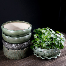 ����˯��ɏ���X��ˮ��ֲ������ ���ԸG׃����ˮ�ɻ�ƴ�P�մɻ���