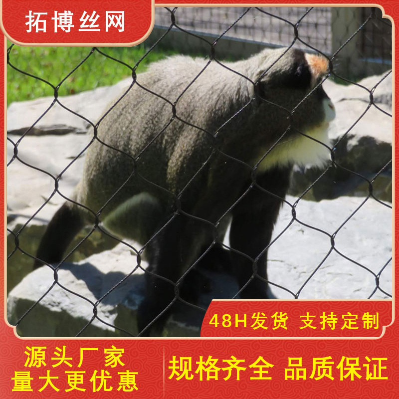 304菱形钢丝网电梯防坠落不锈钢绳网卡扣绳网金属装饰钢丝绳网