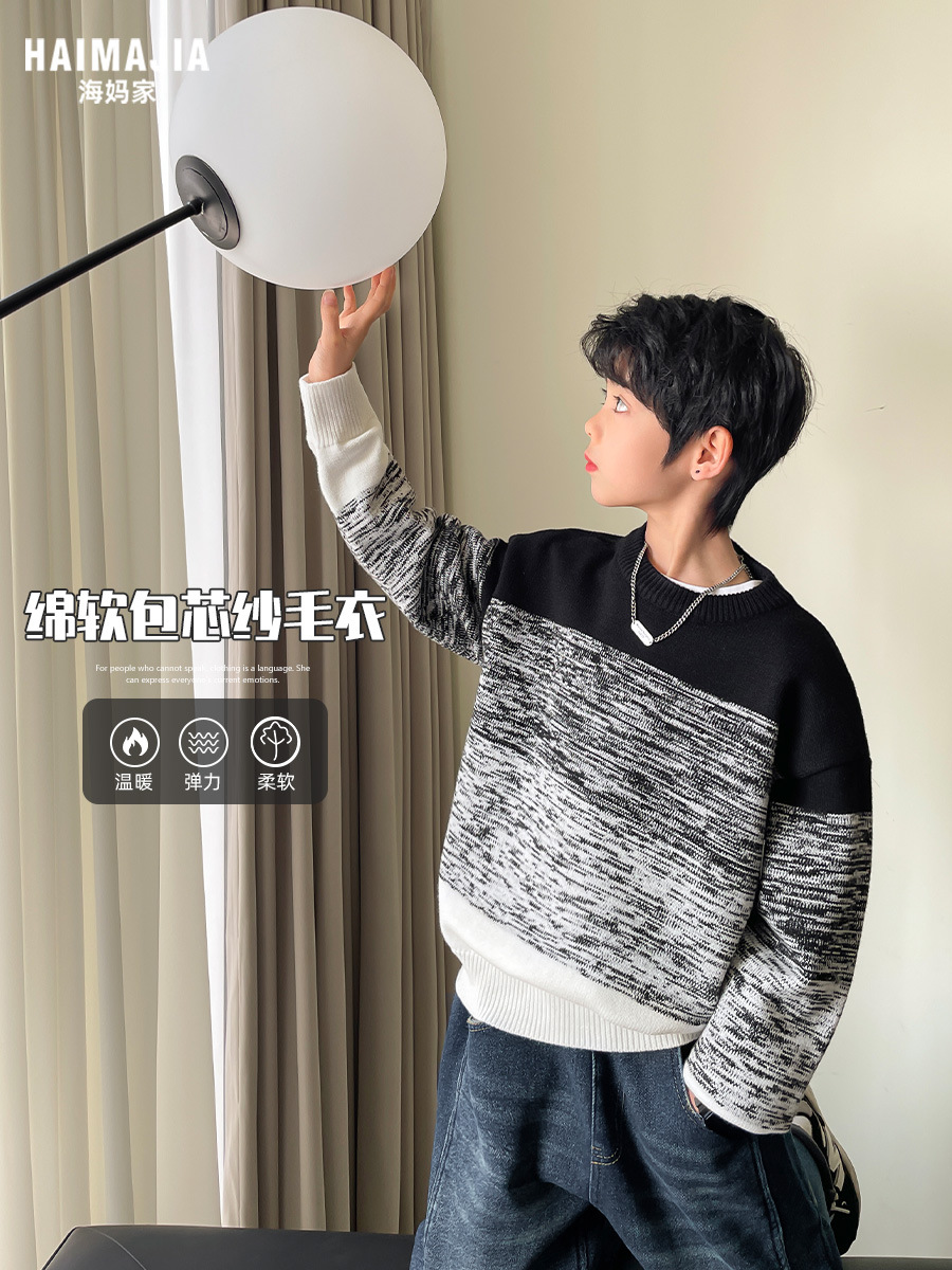 Haima's Boys' Stylish Pullover Sweater with Round Neck, 2025 Winter New Korean Style Children's Winter Clothing Top