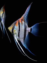 �t�����������~���~�����Ꭷ�~�^�p�~���w�����~���~�߲ʟᎧ�~