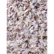 ����������ɫ��Ⱦ���ؐ����⺣�ǵ���DIY�ֹ��Ʒ�����������