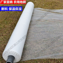 r÷NֲĤϷN׵ģ1.5׌rĤoĤN