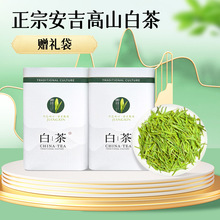 正宗浙江安吉白茶 500g  2024新茶 明前精品 原产地 茶厂批发散茶