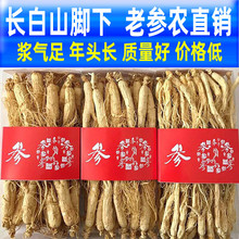 【今日特价】高龄生晒参500g人参长白山非野山参干人参泡酒中药材