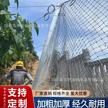 ����߅�·��o�W����ɽ�w�o�¹����WSNS����䓽z�K߅�·��o�h�ξW