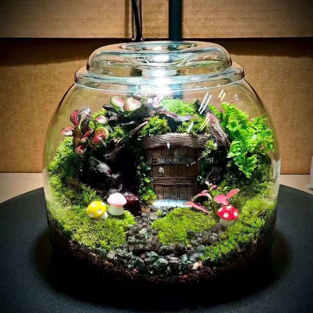 微景观生态瓶苔藓玻璃瓶水培植物玻璃花瓶造景玻璃容器带灯