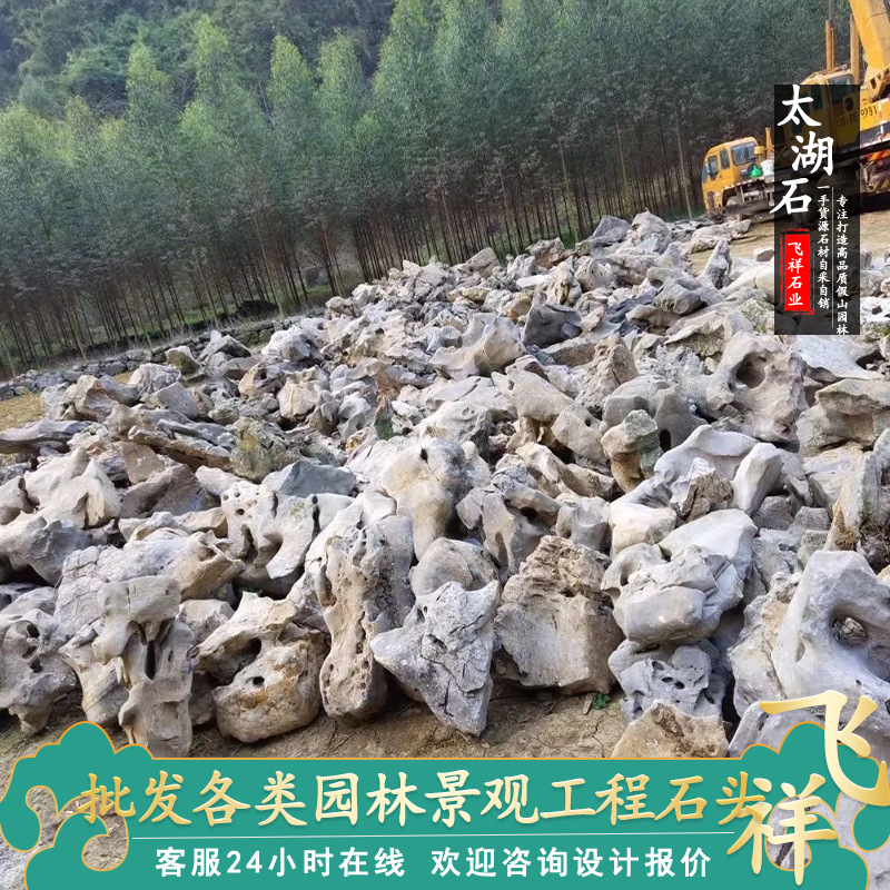 假山石头 太湖石天然原石 风景石 草坪石 点缀石头 公园造景石头