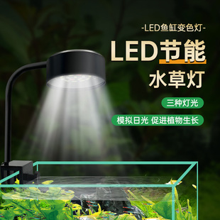 Fish tank clip light small fish tank special water grass light bucket fish tank light mini plant fill light led light lighting algae explosion