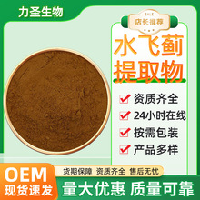 水飞蓟提取物10:1多规格水溶水飞蓟粉保健品原料现货包邮支持拿样