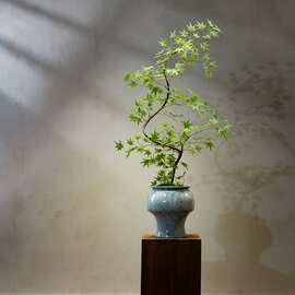 枫小型流泉奢假花玄关装饰仿真绿植新中式禅意茶室高端轻盆栽摆件