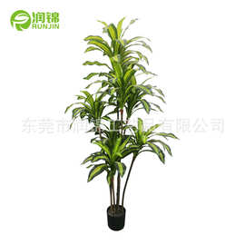 跨境热销仿真巴西铁手感大叶巴西木绿植盆栽室内装饰迷你香龙血树