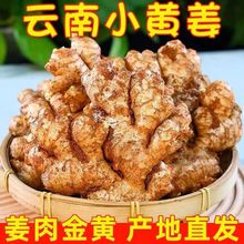 斤厂家直销云南现挖发包沙姜土姜代新鲜生姜5高山小黄姜邮