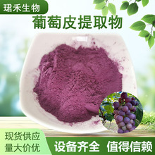 葡萄皮提取物粉  葡萄皮喷雾干燥浓缩萃取固体饮料原料 葡萄皮粉