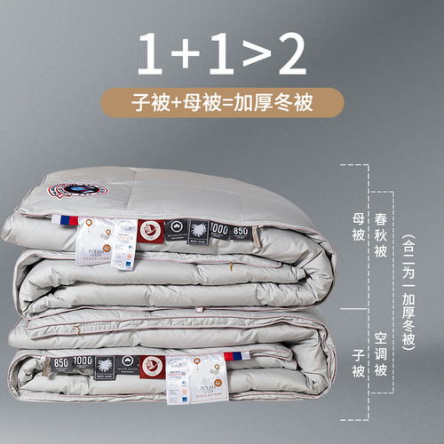 High-end down comforter 95% down filling high-quality duvet winter parent-child duvet insert factory wholesale