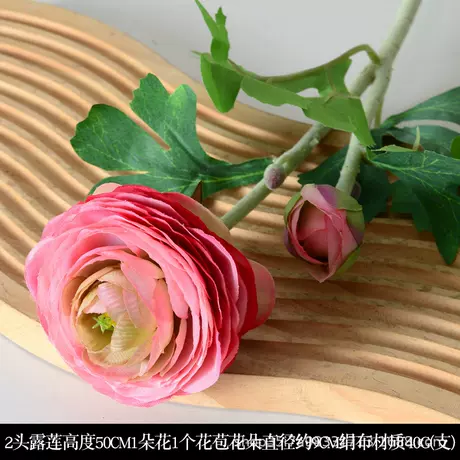2 heads of dew lotus pink