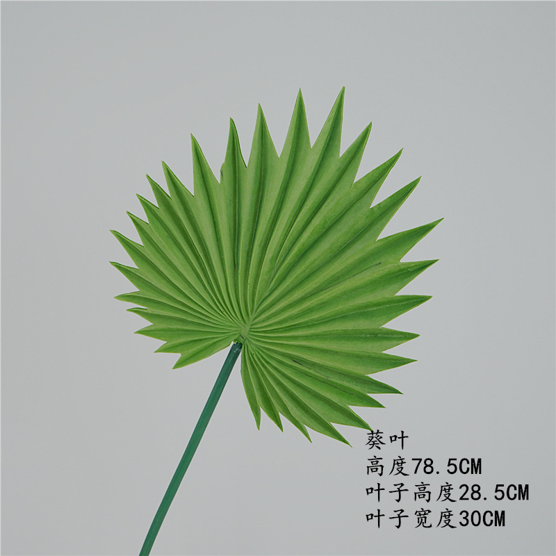 DSC05873_副本_副本