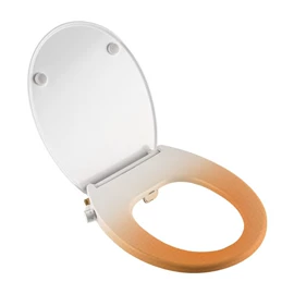 智能马桶盖;普通马桶盖;马桶喷枪