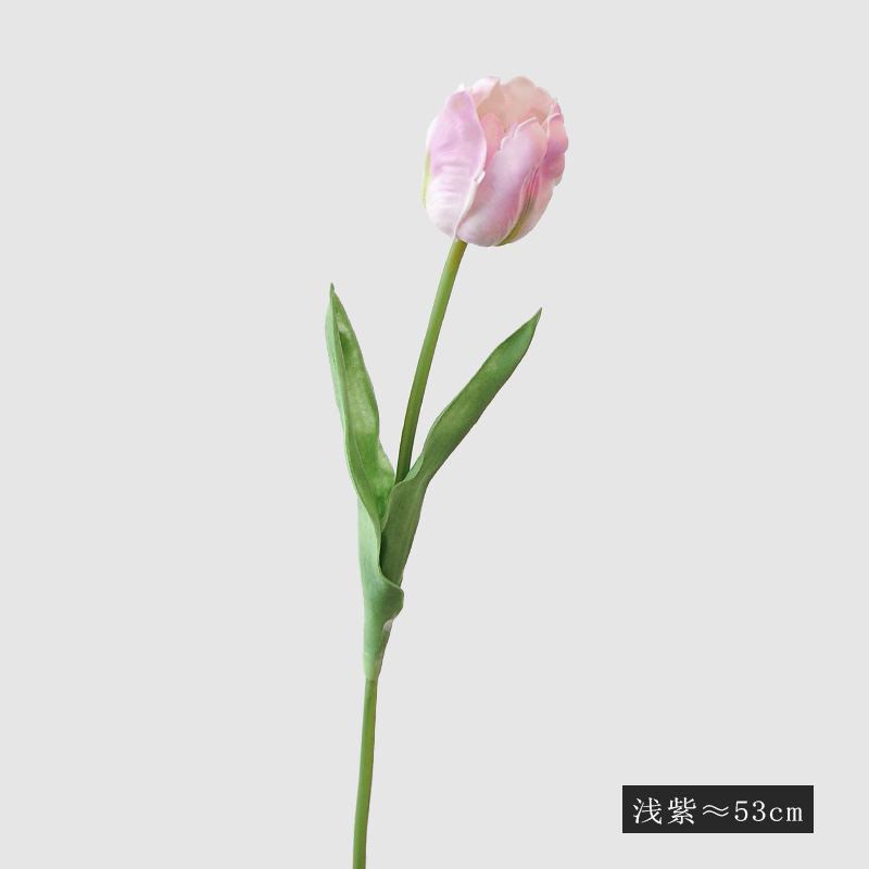 밝은 보라색