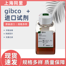 gibco进口试剂16010-159新生牛血清新西兰来源胎牛血清血清替代物