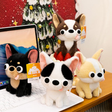 �羳��ͨС��������鹫�м��������Ќ�ë�q��߷�����ͯ�Y��