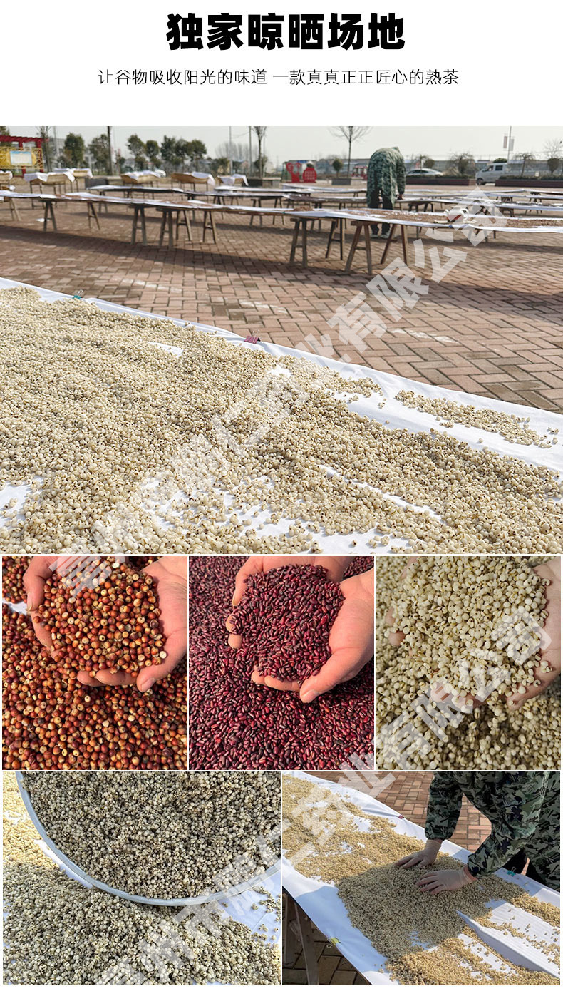 Red Bean Coix Seed Tea Chi Xiao Dou Yi Mi Cha Herbal Blend 220g Canister Sugar Free quality and texture