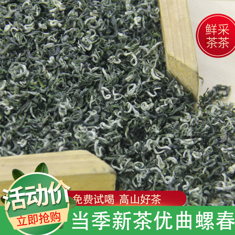 绿茶碧螺春散装茶叶批发高山日照云雾茶电商货源浓香型新茶