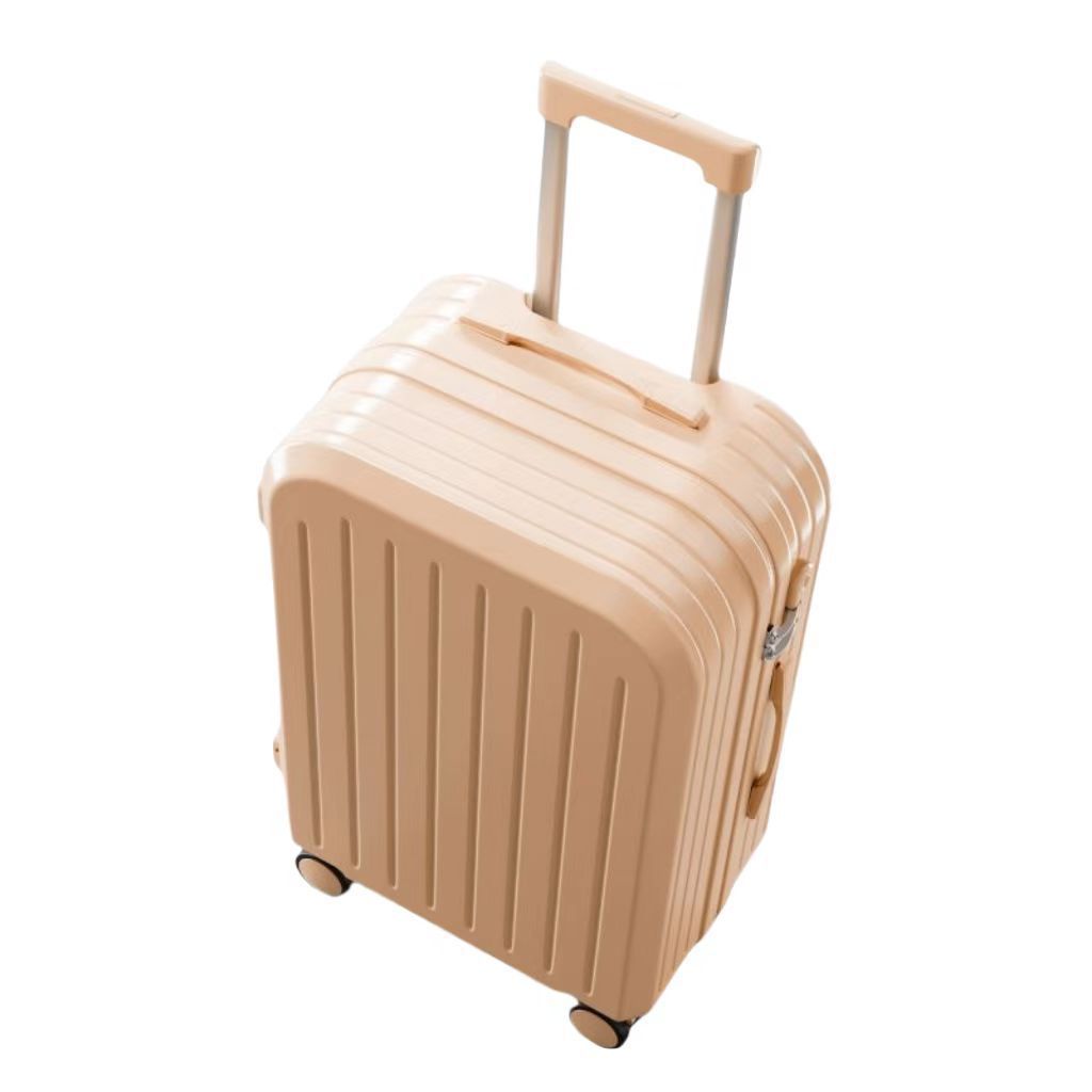 218 산수유 분말