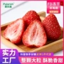 派乐滋冻干办公室源头水果干