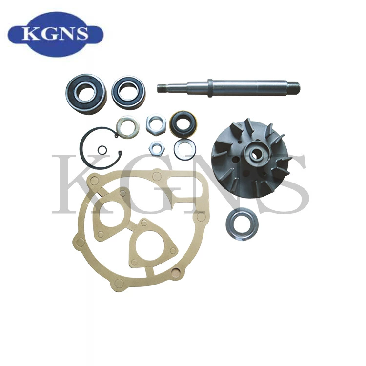 Пакет для ремонта автомобильного водяного насоса OE:550167 ДЛЯ: SCA-NIA