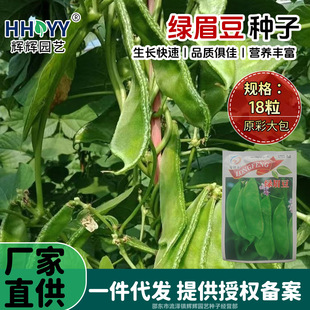 �Gü���N�����i����ⶹ���̨ͥԺ���ԷNֲ�׷N�Gɫ�߹��N��