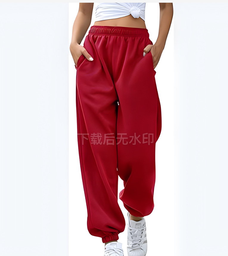 2024 Amazon Cross-border pantalones de mujer europea y americana cintura cuerda bolsillo vellón hogar ocio deportes pantalones sueltos en stock image 18