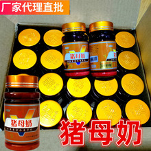 明志渔具批发日本东之水猪母奶30克 钓鱼小药鱼饵窝料添加剂