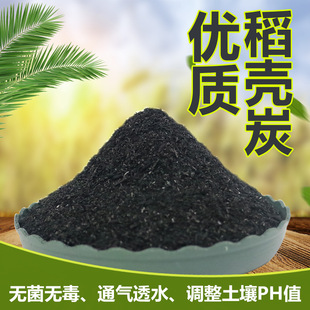 ����̿�����m���¼����àI�B�������ҹȚ�̿��ľ̼������