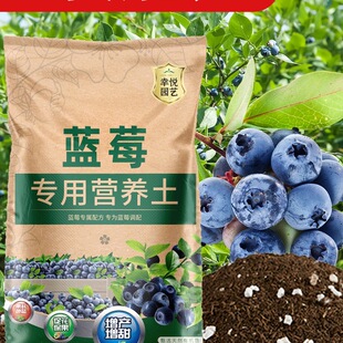 �N�{ݮ���I�B���{ݮ�����������������Nֲ���ЙC������