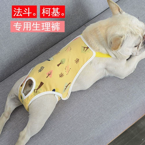 Физиологические штаны Fadou Менструальные штаны Бульдог Женские гигиенические штаны для собак Противоталкивающие защитные штаны для собак Щенок