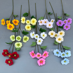 �¿�W�t������ĵ����c��˾�ķ��滨ëݹ��Y�������l