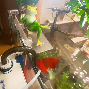 �~��ˮ�õ���֧�ܑҿ�ˮ�ݔ[̨��ˮ�������������P̨͸���Ҹ�ƽ̨