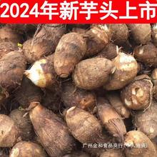 25��ɽ�|���^ţ��С���^���rë���^�F��������ܵܛŴ�z�������߲�