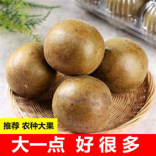 Ʒ_hҰ]40VخaɢbݲɹƬ