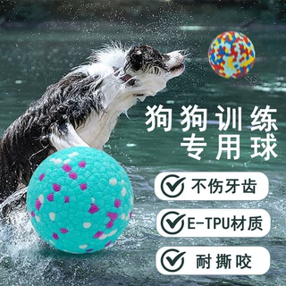 猫狗爆爆球磨牙洁齿啃咬工具咬不烂实心球新款ETPU环保宠物球高弹