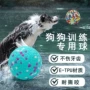 啃咬高弹磨牙环保宠物球