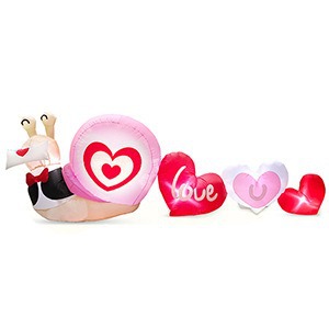 9FT 달팽이 긴 결합 사랑 그룹