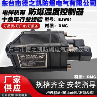 Bjw51 Explosion-Proof Electric Heating Belt Special Explosion-Proof Temperature Controller 220V/380V Adjustable Temperature