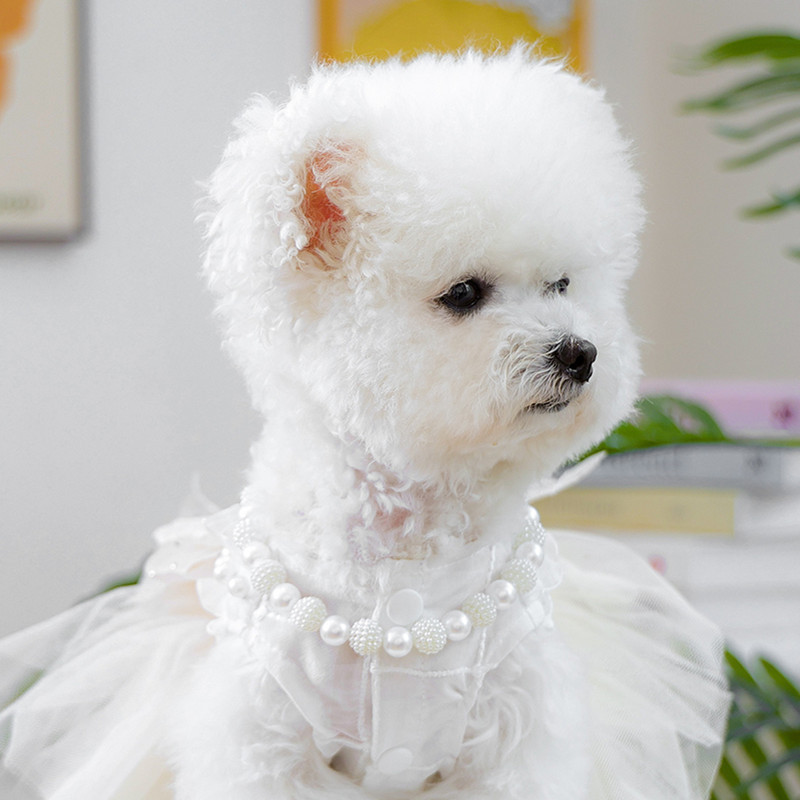 现货宠物衣服秋冬款小型犬幼犬快乐狗猫保暖舒适服饰小香风背包裙|undefined