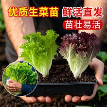 �������������玧��������_�Rˮ�ஔ���߮a�̨�Nֲ�߲�ֲ������