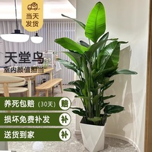 RBؔ;GֲԿ͏dBo˾Gֲû҃ȃ՚